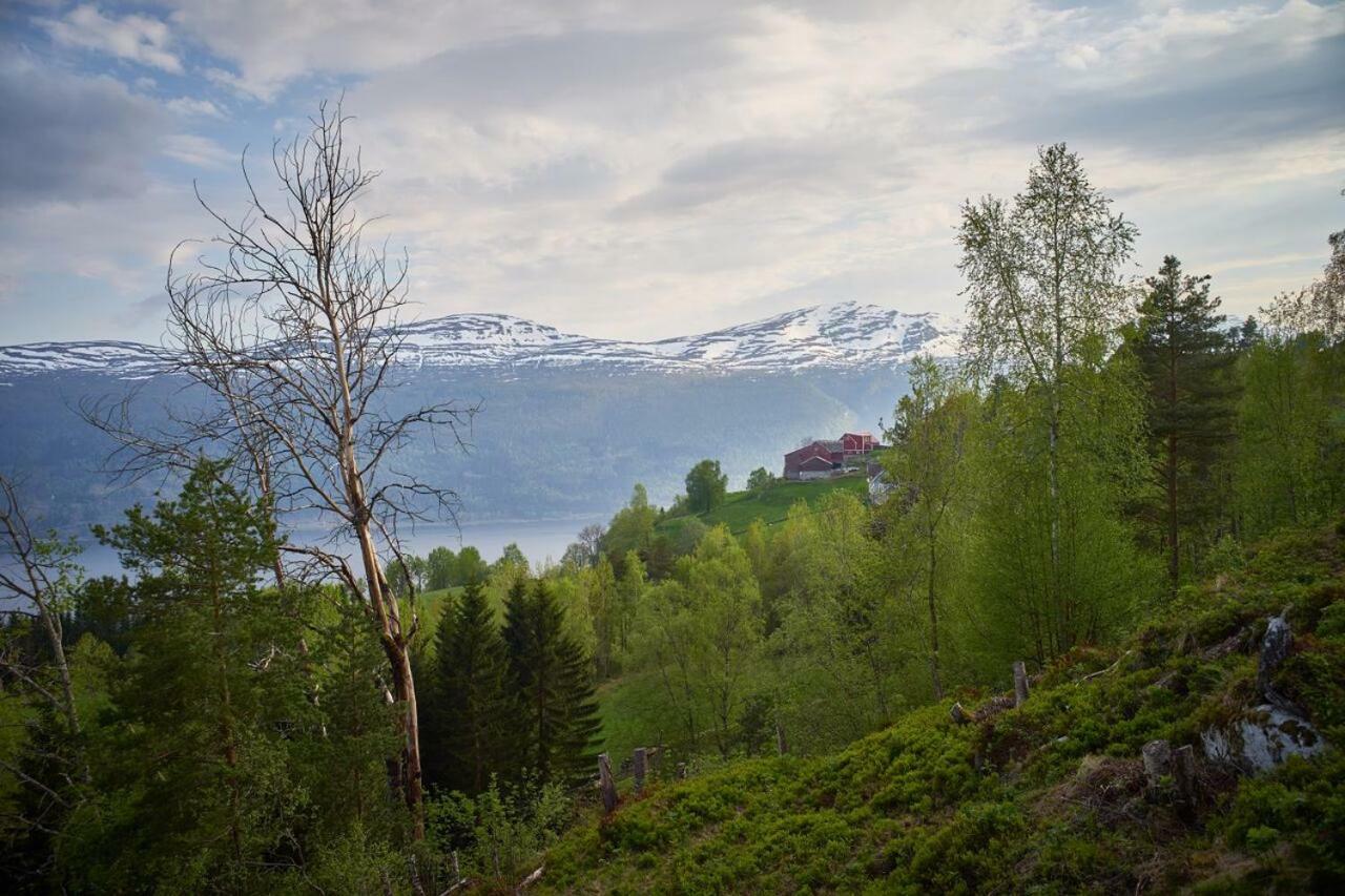 Villa Panorama View Along The Fjord In Stryn Blakset Esterno foto